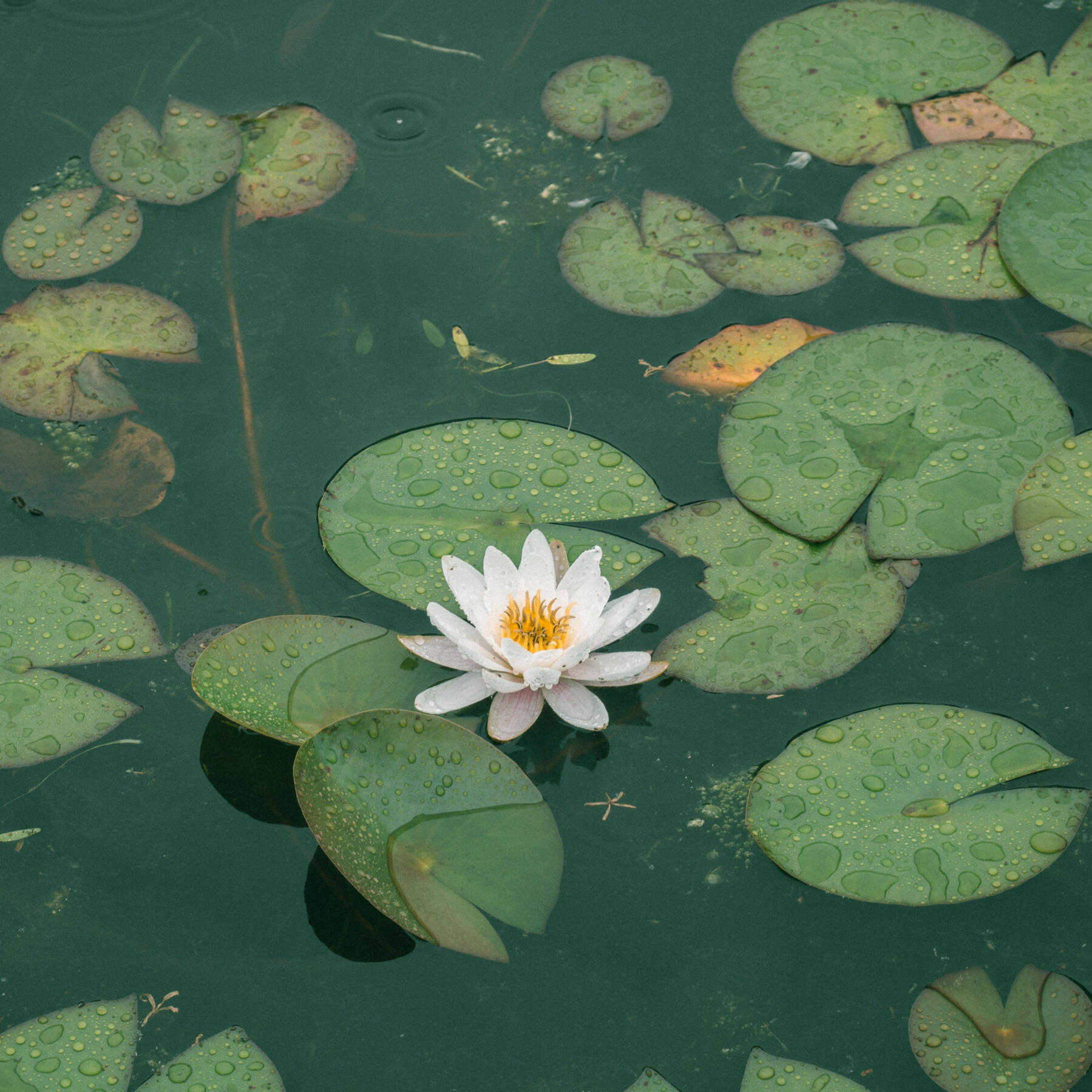 Lee Soo hyun on Unsplash