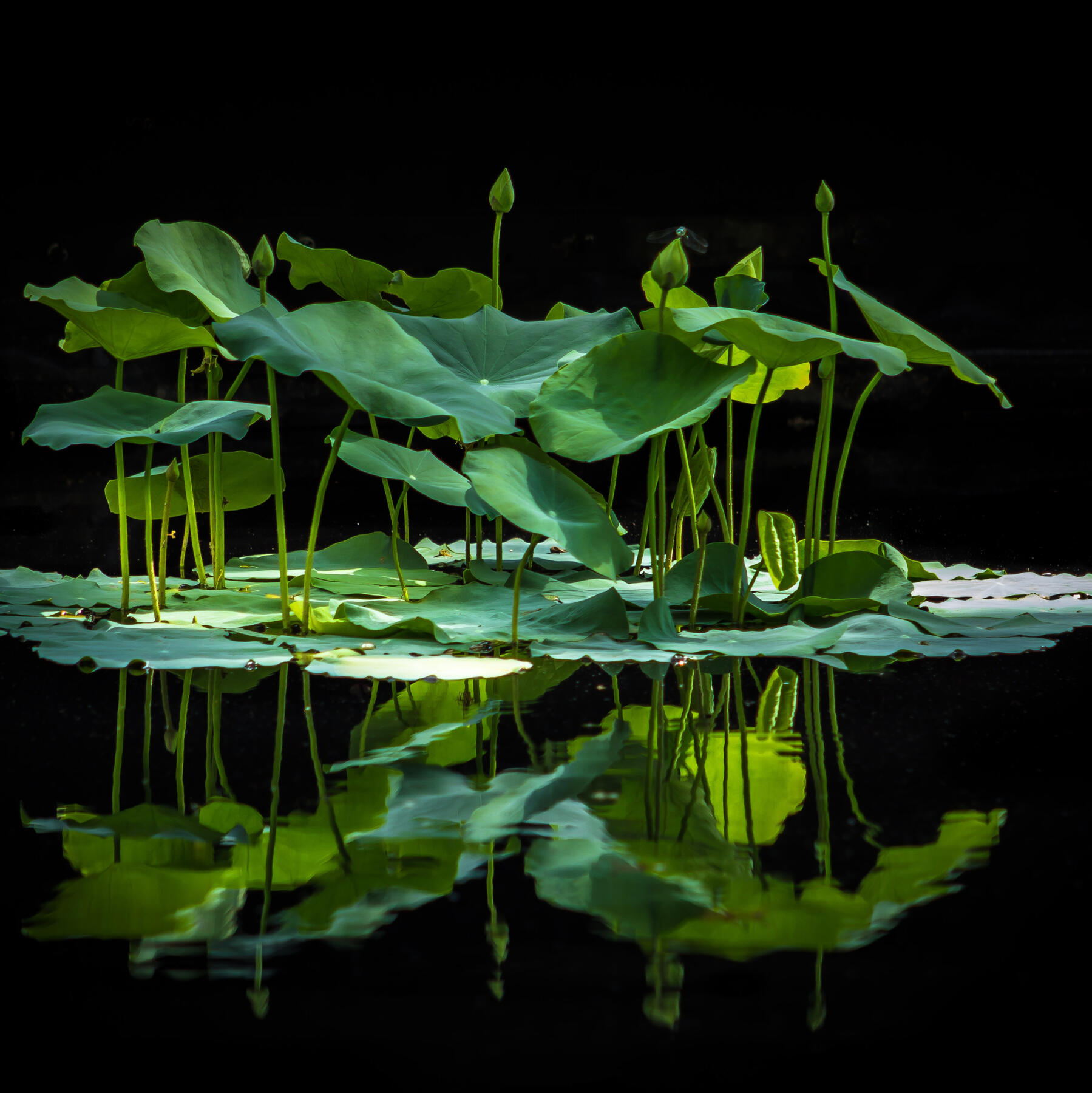 Alfred Schrock on Unsplash