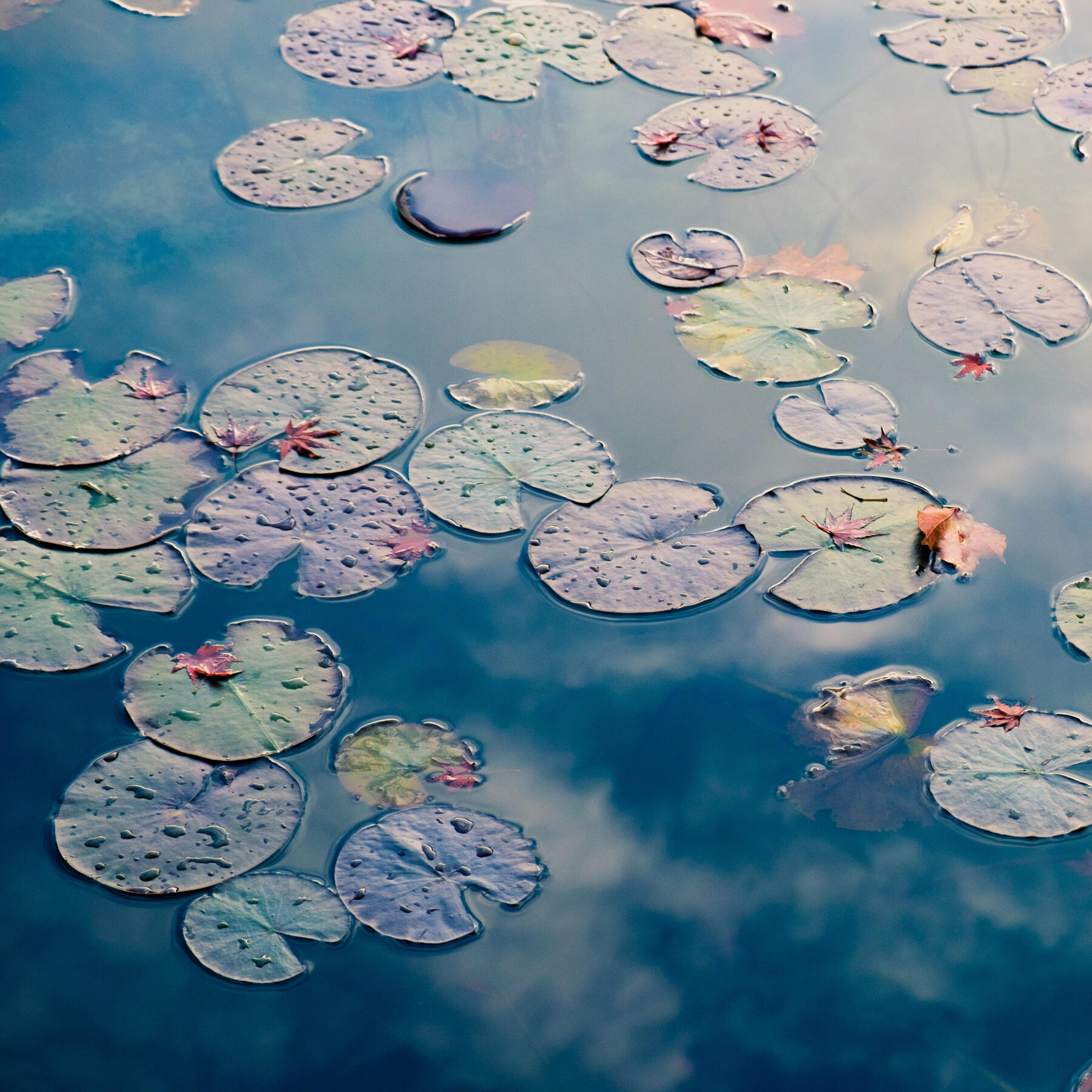 Sora Sagano on Unsplash