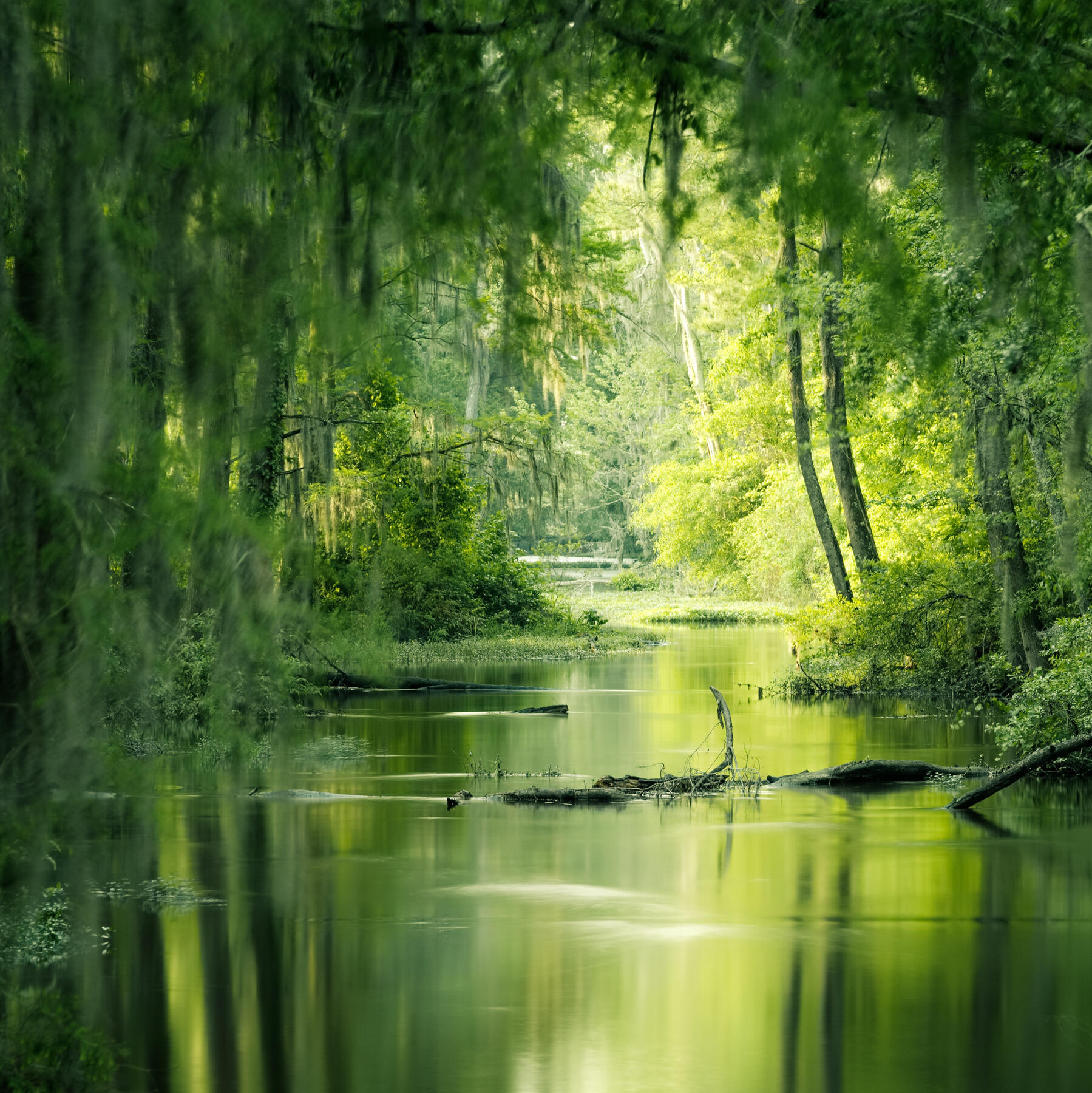 Nils Leonhardt on Unsplash